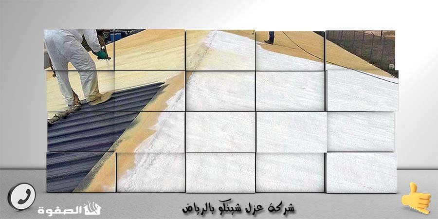 مؤسسة عزل شينكو بالرياض