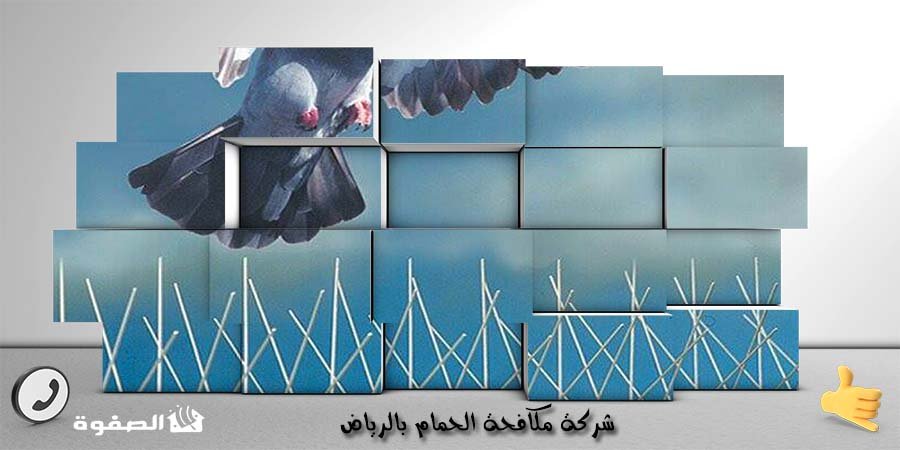 مؤسسة مكافحة الحمام بالرياض