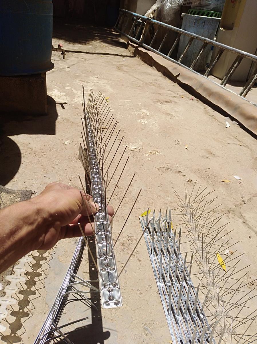 مؤسسة طارد حمام شرق الرياض