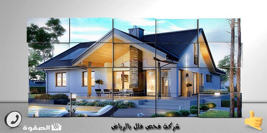 مؤسسة فحص فلل بالرياض