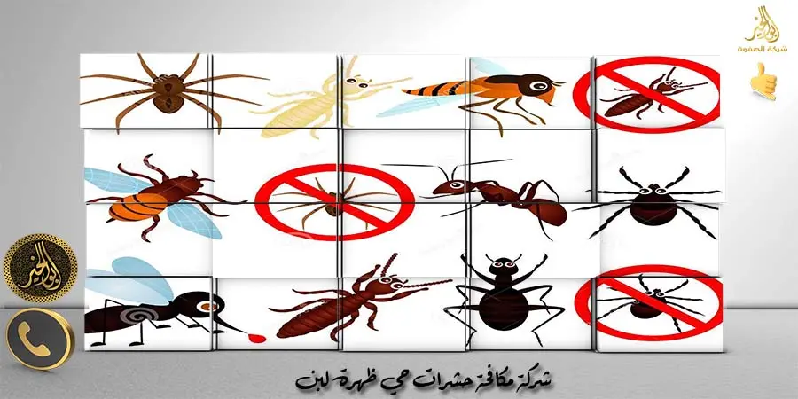 مؤسسة مكافحة حشرات حي ظهرة لبن