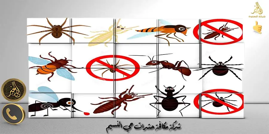 مؤسسة مكافحة حشرات حي النسيم